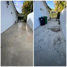 The-Importance-of-Low-Pressure-Surface-Cleaning-for-Painted-Driveways 0